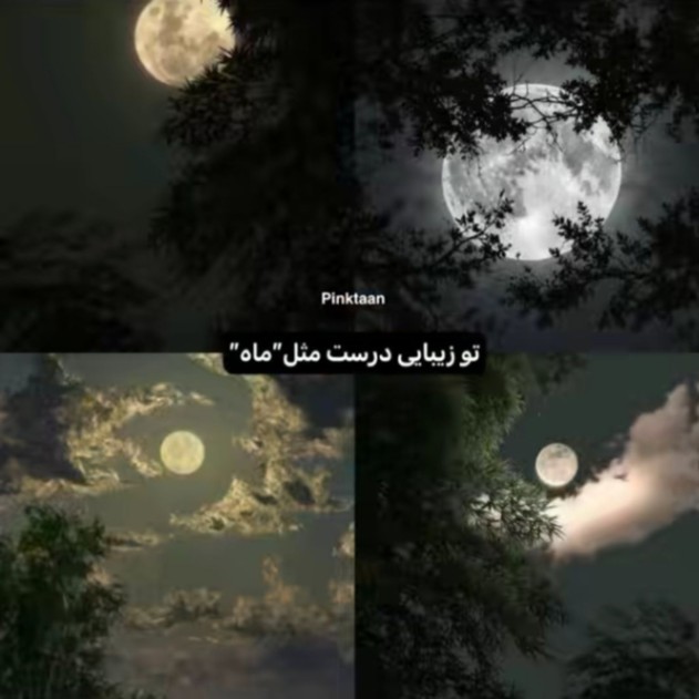 دانلود آهنگ هی حالا دیدی میتونم از فارس ترانه